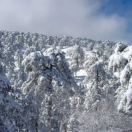 Jubilee Troodos