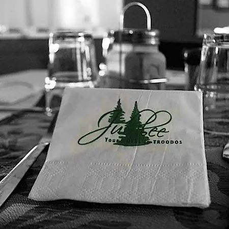 Jubilee Troodos 2* 卡科佩特里亚